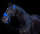 Equitrense® CLASSIC