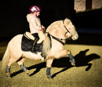 Bareback riding pad PREMIUM PLUS