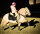 Bareback riding pad PREMIUM PLUS