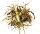 AGROBS® Pre Alpin Aspero Demi-Palette avec 15 ballots de 20 kg