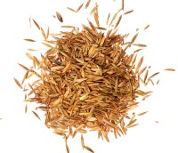 AGROBS® Pre Alpin Saatgut • Seeds