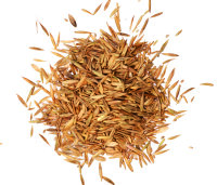AGROBS® Pre Alpin® semences de pâturage...