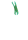 Seaweed Tourquoise