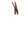 Paisley Copper
