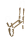 Coyote
