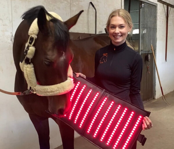 Kaution Equine LTS Mini PRO