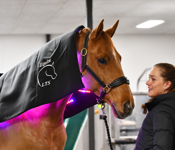 Kaution Equine LTS Topline Action