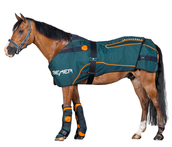 Deposit BEMER Horse-Set