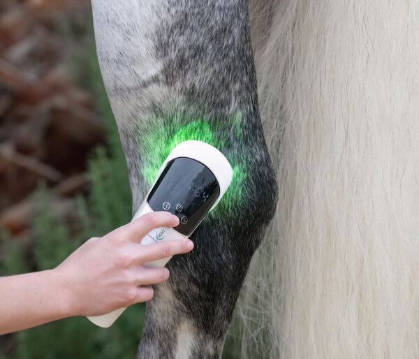 Kaution Nordian Lichttherapie Handheld