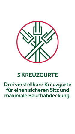 3 Kreuzgurte