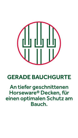 Gerade Bauchgurte