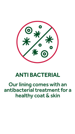 Anti Bacterial