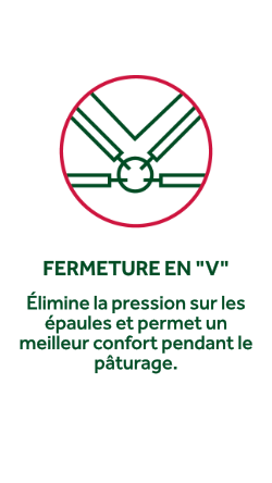 Fermenture V