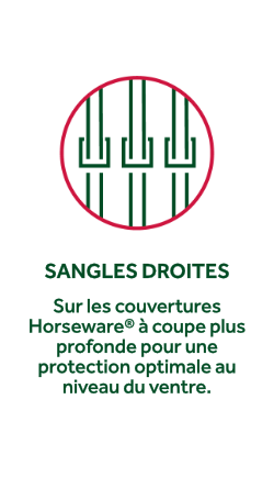 Sangles droites